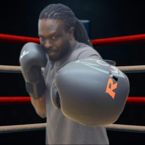 Beginner Boxer