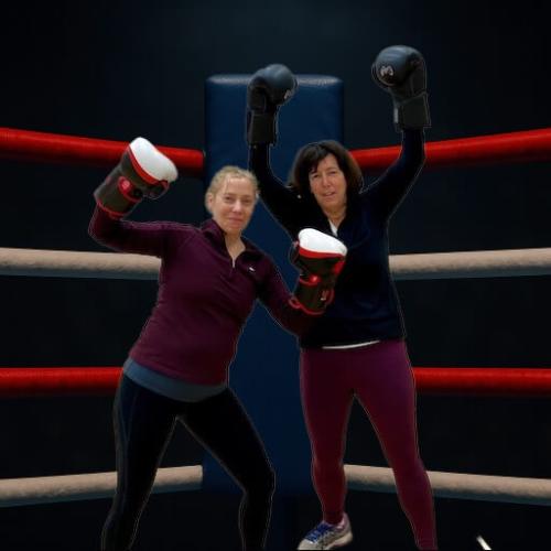 Beginner Boxer