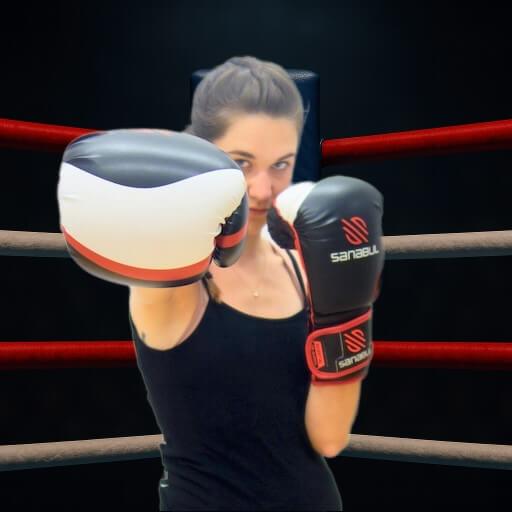 Beginner Boxer