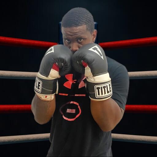 Beginner Boxer